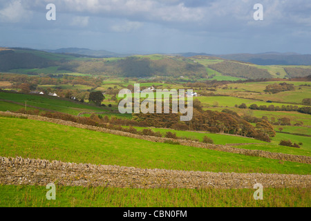Los Peninos, Garsdale, desde A684, Yorkshire Dales National Park, Inglaterra Foto de stock