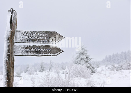 Signpost congelado cubierto de hielo en la reserva natural de alta Fens / Hautes Fagnes en la nieve en invierno, Ardenas belgas, Bélgica