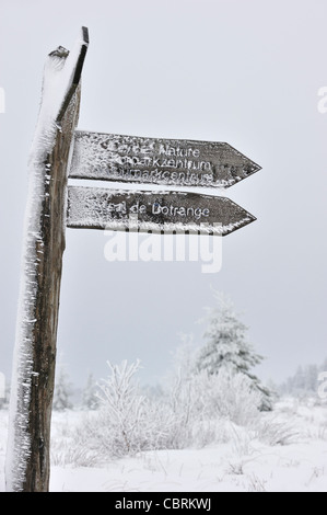 Signpost congelado cubierto de hielo en la reserva natural de alta Fens / Hautes Fagnes en la nieve en invierno, Ardenas belgas, Bélgica