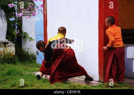 Jóvenes monjes jugando en Pemayangtshe, West Sikkim Foto de stock