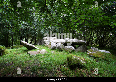 Cuña de Burren tumba. Co. Cavan. Irlanda Foto de stock