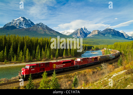 Canadian Pacific tren de mercancías que viajan alrededor de curva Morants Bow Valley Parkway Montañas Rocosas de Alberta, Canadá Foto de stock