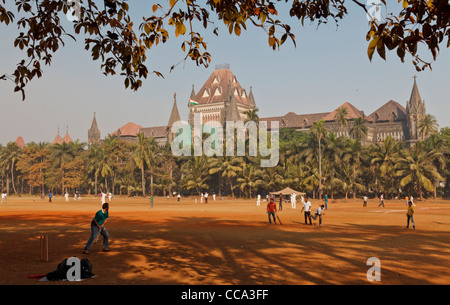 Jugar cricket en la Oval Maidan, Mumbai, Bombay, India Foto de stock