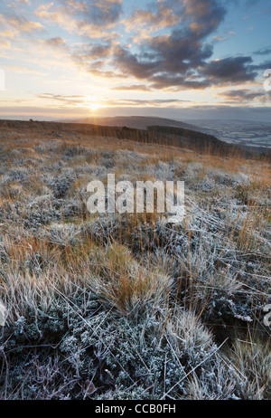 Selworthy baliza, amanecer de invierno. Holnicote Estate. Exmoor National Park. Inglaterra. En el Reino Unido. Foto de stock