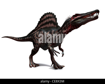 Spinosaurus dinosaurio, equipo ilustraciones. Este dinosaurio vivía 95 a 80 millones de años durante el período Cretácico tardío. Foto de stock