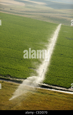 Riego agrícola aspersores riego cultivos Fotografía de stock - Alamy
