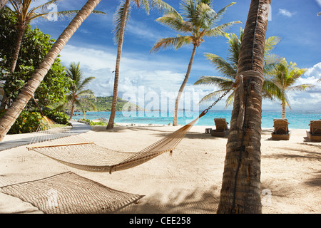 Isla paraíso playa privada exclusiva Mustique Caribe palmeras aisladas no hay gente cielo arena mar desierto sol sol sol océano hamaca azul Foto de stock