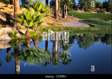 Estanque de Desert Willow Golf Resort, Palm Desert, California Foto de stock