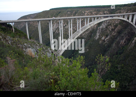 Bloukrans Bridge,Tsitsikamma, Western Cape, Sudáfrica Foto de stock