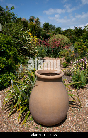 Jardines, Fontwell Denmans nr Arundel, West Sussex, Inglaterra Foto de stock