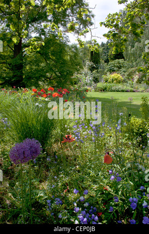 Jardines de Denmans, Arundel, West Sussex, Inglaterra Foto de stock