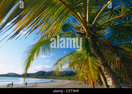 Relajándose en la playa, Playa Carrillo, nr Sumara, Península de Nicoya, Guanacaste, Costa Rica Foto de stock