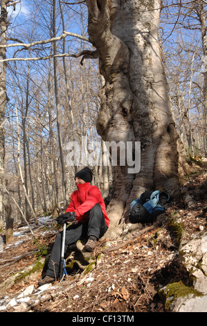 Excursionista descansar bajo un árbol viejo, Monte Raparo, Basilicata Foto de stock