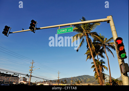 Árboles y Plam semáforo en Lono Avenue, Kahului, Maui, Hawaii, USA LA ISLA