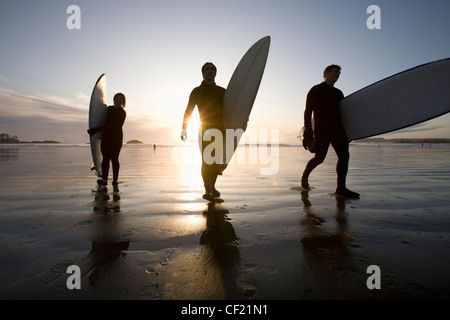 Silueta de tres surfistas llevar tablas de surf; Chesterman Beach Tofino en la isla de Vancouver British Columbia Canadá Foto de stock