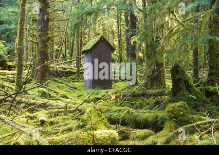 Soportó la letrina en la selva, Skidegate, Haida Gwaii (Islas de la Reina Carlota), British Columbia, Canadá. Foto de stock