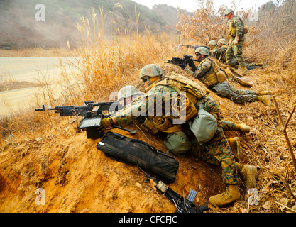 CAMP RODRÍGUEZ, República de Corea (4 de marzo de 2012) los infantes de marina asignados a 2do Platoon, Compañía Pacífico, Equipo de Seguridad de flota contra el Terrorismo (FAST), realizan un ejercicio de fuego vivo usando rifles A4 M-16, fusiles de asalto M4, ametralladoras medianas M240 y el fusil de puntería mejorado M39. Más de 50 infantes de marina asignados a la segunda placa están entrenando en el complejo de bomberos en vivo Camp Rodríguez como parte del ejercicio RÁPIDO 2012 para sostener y mejorar aún más la puntería de armas, del 27 de febrero al 8 de marzo. Foto de stock