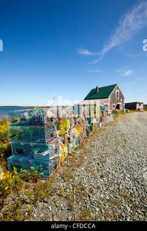 Trampas, Grand Harbour , Grand Manan Island, la Bahía de Fundy, New Brunswick, Canadá Foto de stock