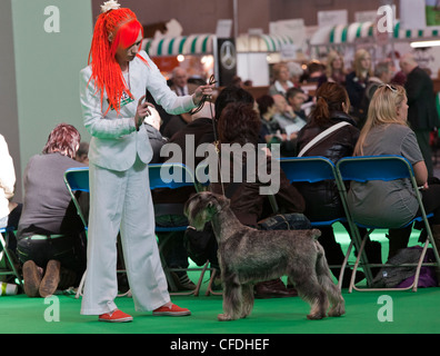 Chica y perro con pelo naranja Crufts dog show 2012 Foto de stock