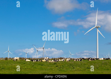 Turbinas de viento y balas de heno, West Cape, Prince Edward Island, Canadá Foto de stock