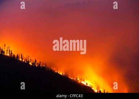Un frondoso fuego ardiendo al lado de una montaña, en Montana. Foto de stock