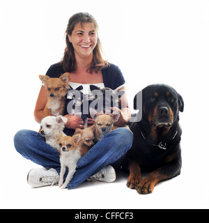 Mujer joven con siete chihuahuas y una rottweiler delante de un fondo blanco