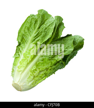 La lechuga romana aislado en blanco