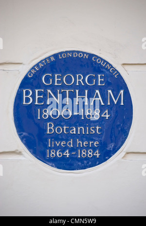 El Greater London consejo placa azul marcando una casa del botánico George Bentham, Belgravia, Londres, Inglaterra