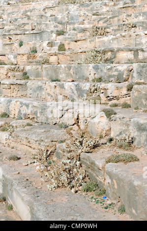 Apollonia. Libia. Vista cercana de roca cortada asientos del teatro griego de Apollonia situado justo fuera de las murallas orientales Foto de stock