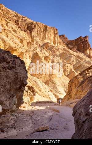 Caminante en el sendero a través del Cañón Dorado, el Valle de la Muerte, California, EE.UU. Foto de stock