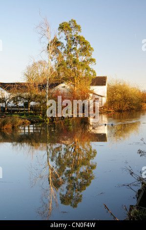 La casa blanca y los árboles reflejados en el Ashby Canal Foto de stock