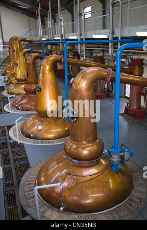 Escocia, Speyside, Dufftown, Whiskey Glenfiddich Distillery, alambiques de cobre Foto de stock