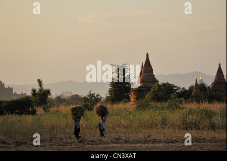 Myanmar (Birmania), la división de Mandalay, Bagan (pagano), Old Bagan, templos y estupas