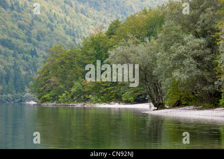 Eslovenia, Región Goriska, Bovec, el Parque Nacional de Triglav, el lago de Bohinj Foto de stock