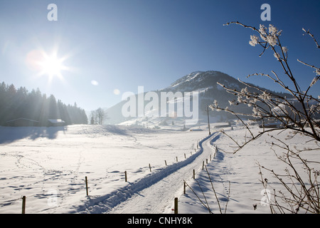 El paisaje cubierto de nieve, Kirchberg, Tirol, Austria