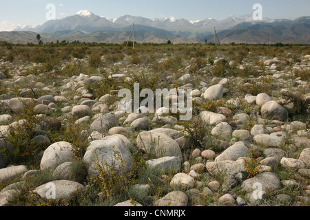 Terskey Ala-Too en la región central de la cordillera de Tian Shan, Kirguistán.