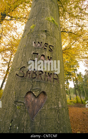 Tres nombres tallados en la corteza de un árbol, Alemania, Renania-Palatinado Foto de stock
