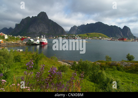Reine reine en el fiordo, Noruega, Islas Lofoten, Moskenesy, Reine Foto de stock