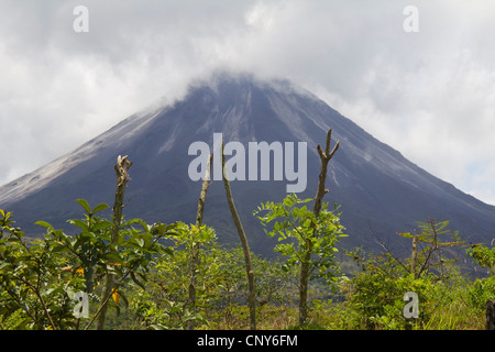 Fumar Volcán Arenal con "cerco vivo", Costa Rica, Centroamérica Foto de stock
