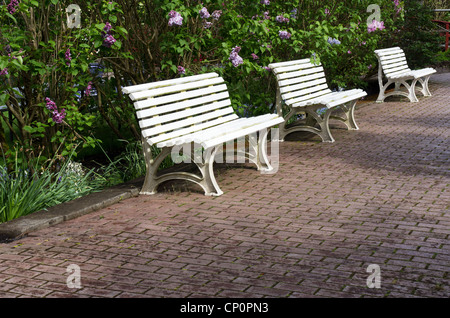 Tres bancos de jardín blanco sentado en un camino pavimentado Foto de stock