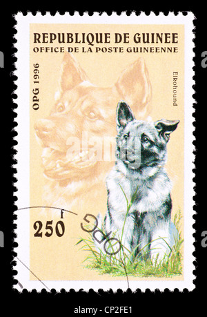 Sello de Guinea representando un perro elkhound.