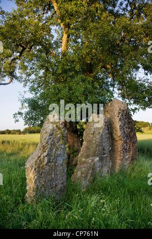 Las 3 piedras / menhires de Oppagne cerca Wéris, Ardenas Belgas, Luxemburgo, Bélgica Foto de stock
