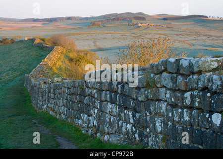 Mirando al oeste a lo largo de la muralla cerca de la Cantera Cawfields Foto de stock