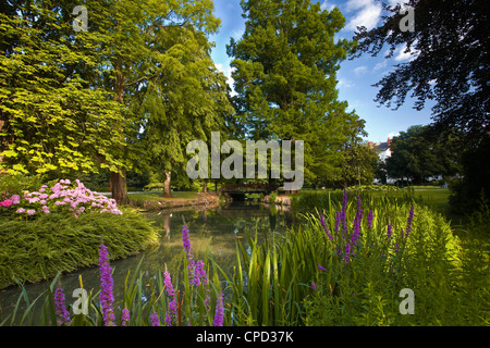 Los Jardins des Prebendes d'Oe, Tours, Indre et Loire, Centro de Francia, Europa Foto de stock