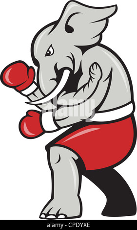 Boxer con elefante hot sale