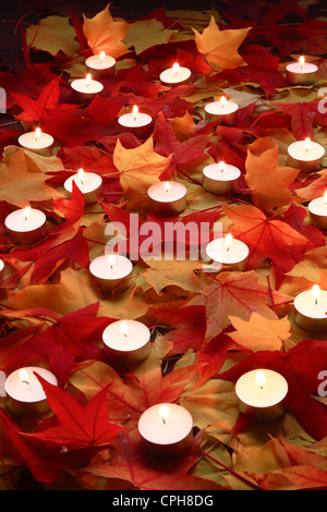 Maple Leaf, hojas, Deco, decoración, detalle, otoño, otoño de color, colores de otoño, el follaje de otoño, colorantes, fondo candl Foto de stock