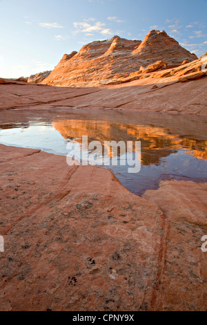 Un bolsillo de agua cubiertos de hielo refleja la arenisca "teepees" común en el Coyote Buttes zona Norte, Arizona Foto de stock