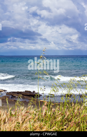 Latchi playa cerca de Paphos, en Chipre Foto de stock
