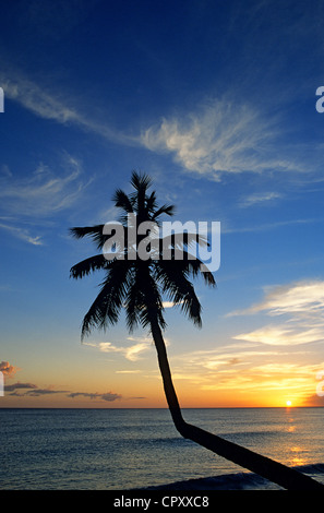 República Dominicana, provincia de La Altagracia, Punta Cana, Playa Bávaro, sunset Foto de stock