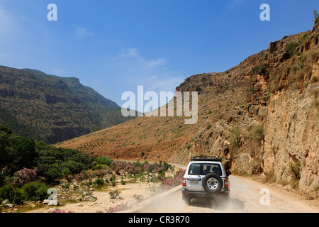 Marruecos, Región Oriental, el macizo del Rif, Beni Snassen (Ayt Iznassen) montañas en el noreste, las cuatro ruedas motrices en un sendero Foto de stock